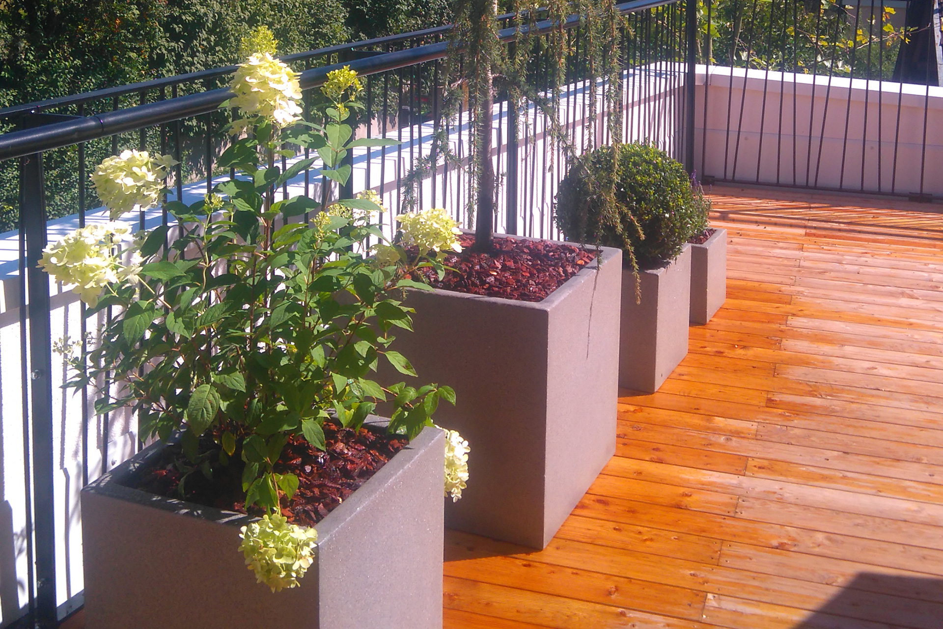Terrassengestaltung, Terrassenbepflanzung, Gartenbau Lechner Innsbruck Tirol