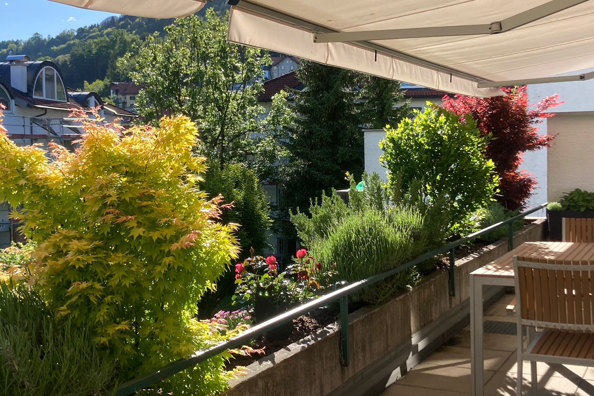 Terrassengestaltung, Terrassenbepflanzung, Gartenbau Lechner Innsbruck Tirol