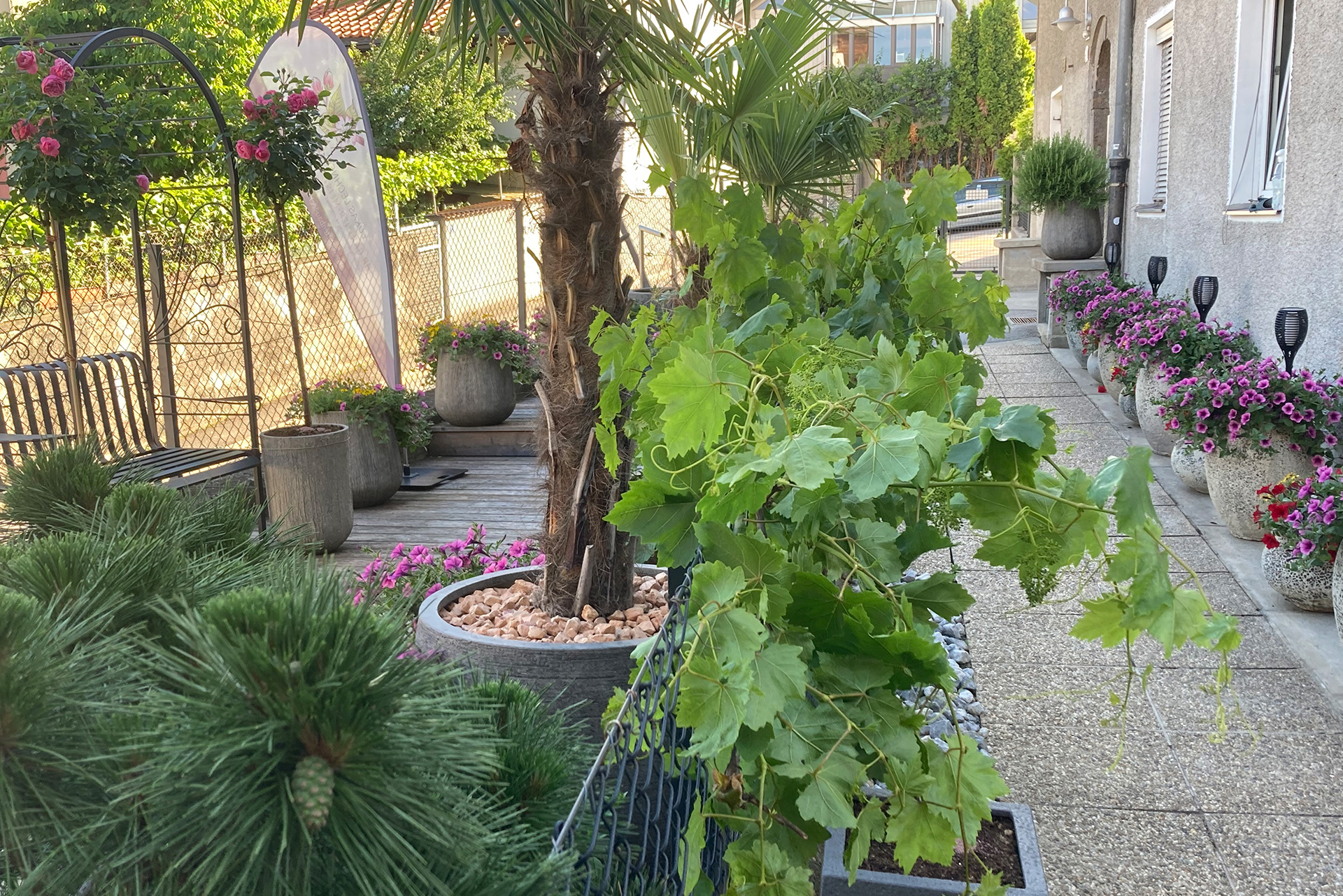 Terrassengestaltung, Terrassenbepflanzung, Gartenbau Lechner Innsbruck Tirol